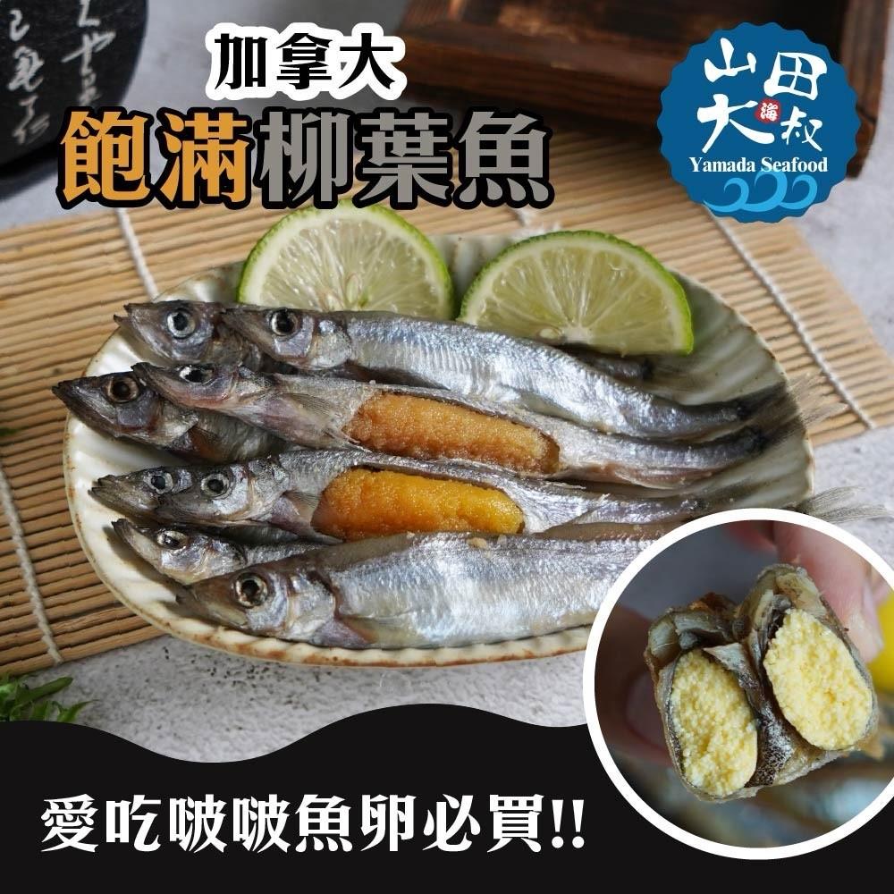 【山田海大叔】飽滿柳葉魚(250g±5%)