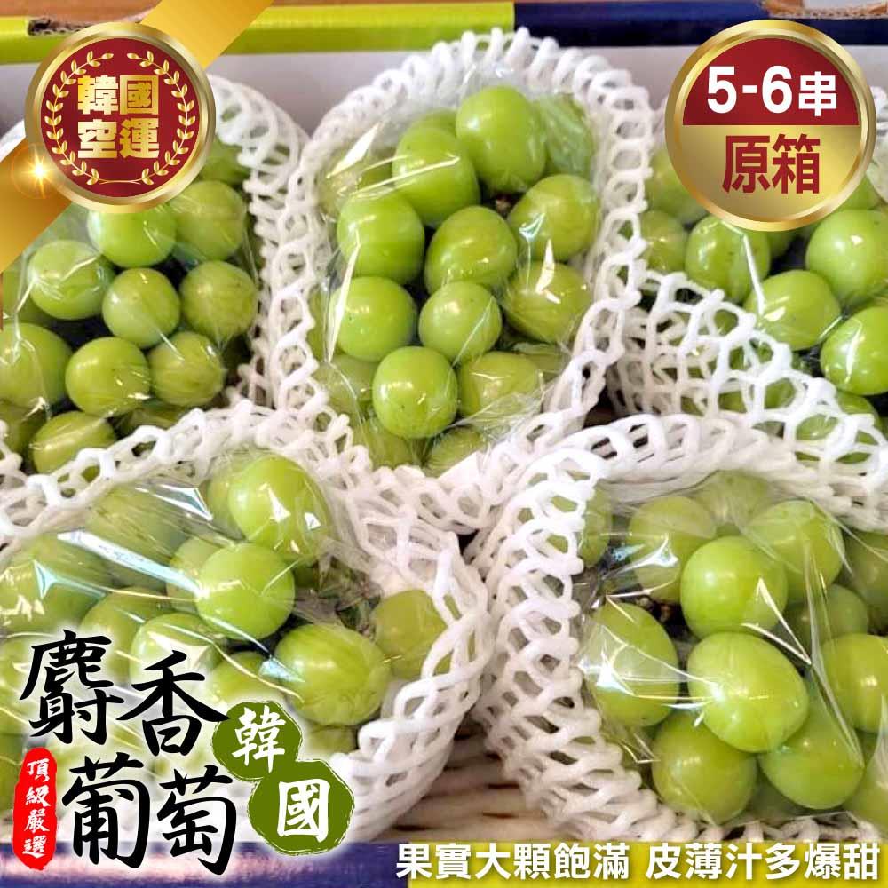 【廚鮮王-宅配】(免)原箱韓國麝香葡萄(約4kg±10%/箱(5-6串))