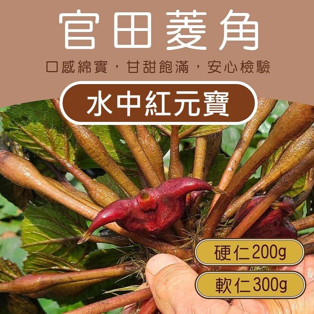 【福福】生鮮菱角仁 200g | 300g