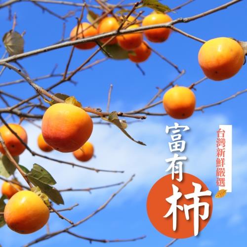 【冷藏店取-福和】(免)富有甜柿1000g(1000gx1)