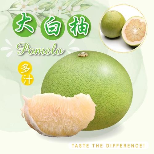 【冷藏店取-福和】(免)台灣大白柚2400g(2400gx1)