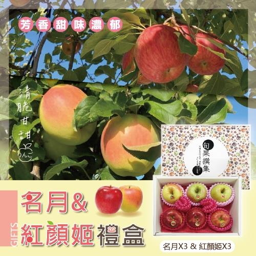 【冷藏店取-福和】(免)日本青森雙色蘋果6入禮盒(1.5kgx1)