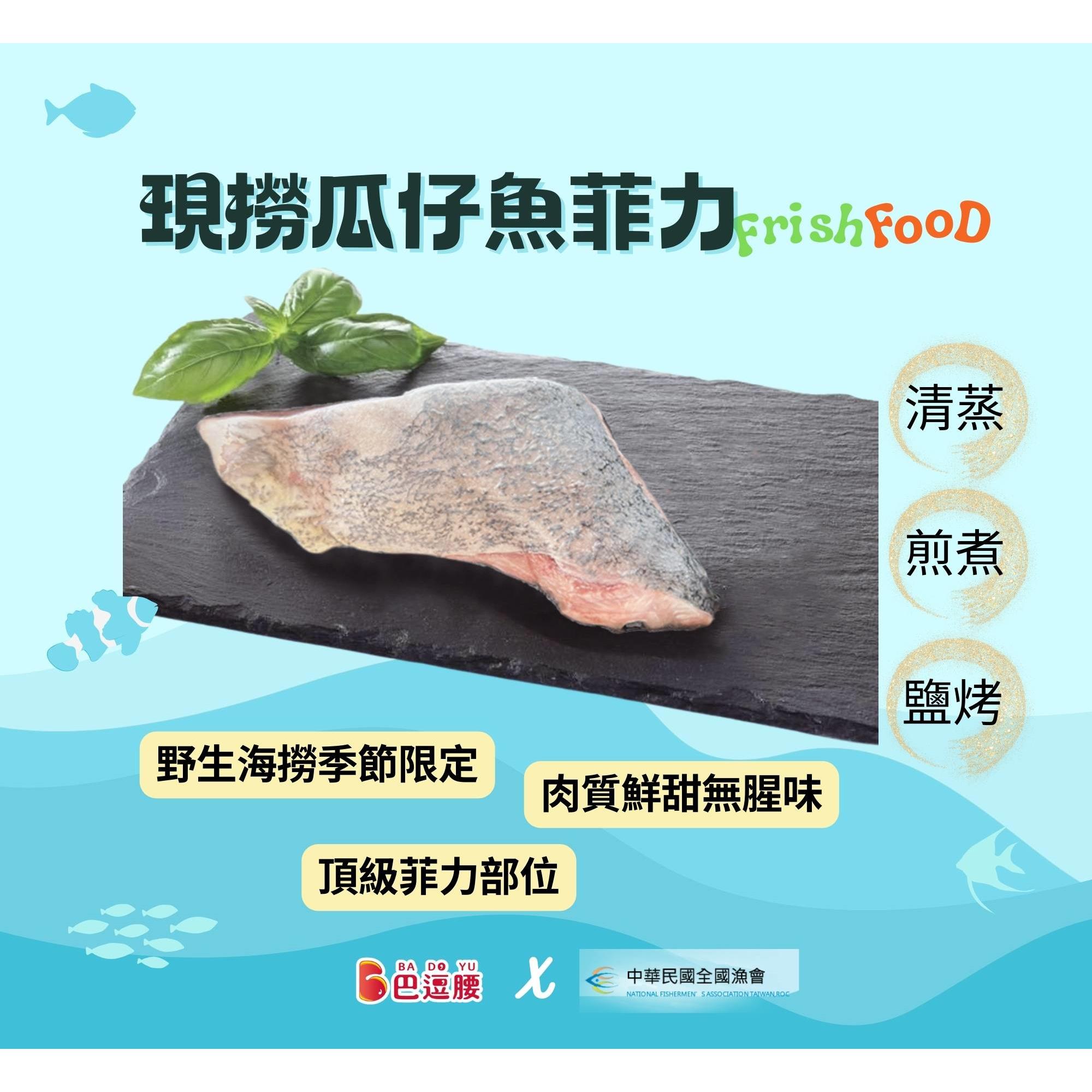 【全國漁現撈會X巴逗腰】現撈瓜仔魚菲力(300gx片)