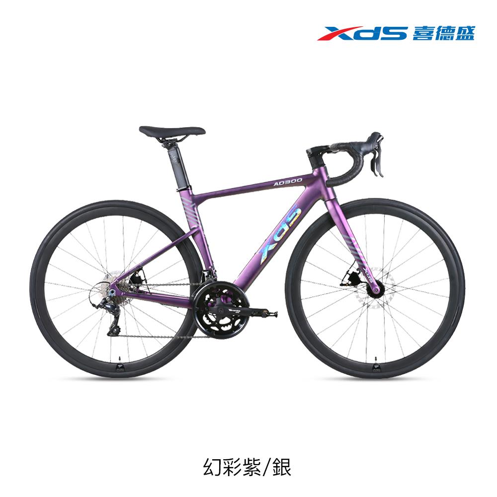 【喜德盛】XDS公路車 AD300 SHUNTAI線拉油碟18速