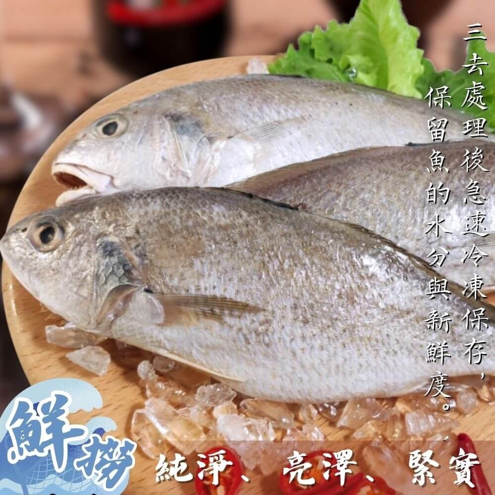 【好嬸水產】三去春神白口魚(2尾入)(340-430g(包冰率30%)/包)