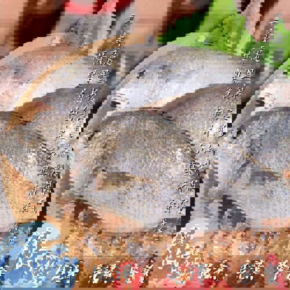 【好嬸水產】三去春神白口魚(2尾入)(340-430g(包冰率30%)/包)