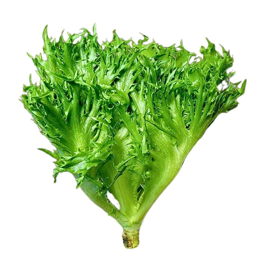 台灣履歷甜脆綠火焰100g (鮮時配)