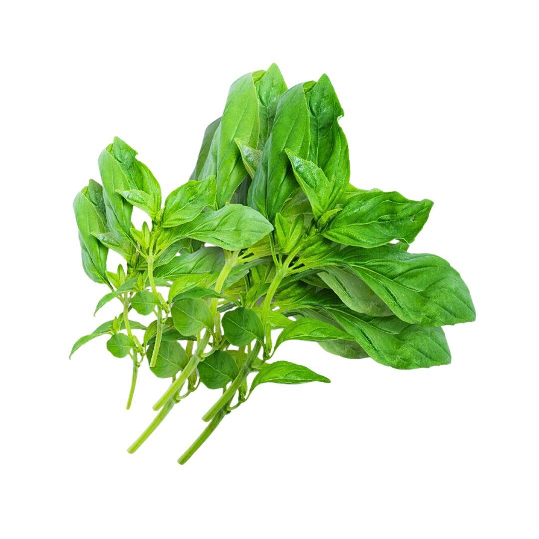 台灣履歷九層塔50G (鮮時配)