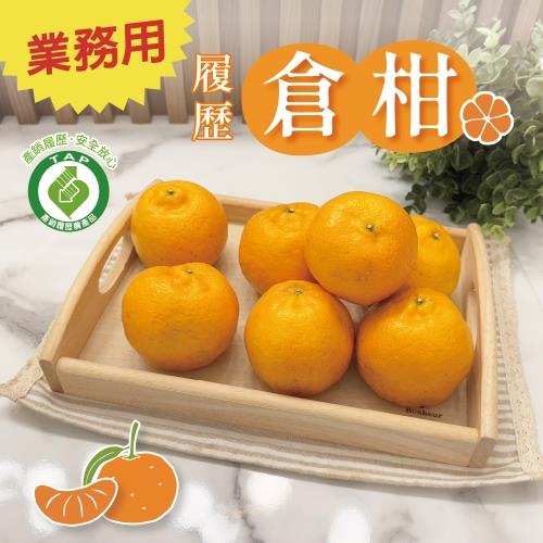 【冷藏店取-福和】(免)履歷倉柑2.5kg(2.5kgx1)