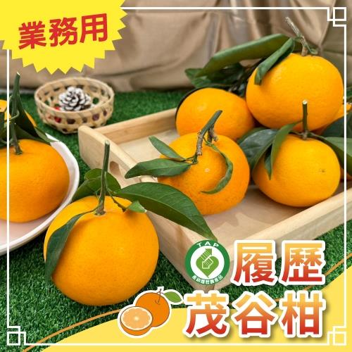 【冷藏店取-福和】(免)履歷茂谷柑3kg(3kgx1)