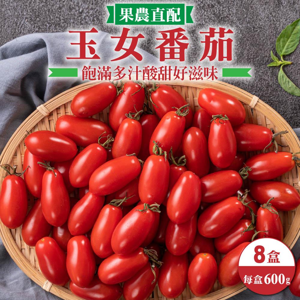 【廚鮮王-宅配】(免)8盒台灣玉女番茄(600g±10%/盒(含盒重)*8盒)