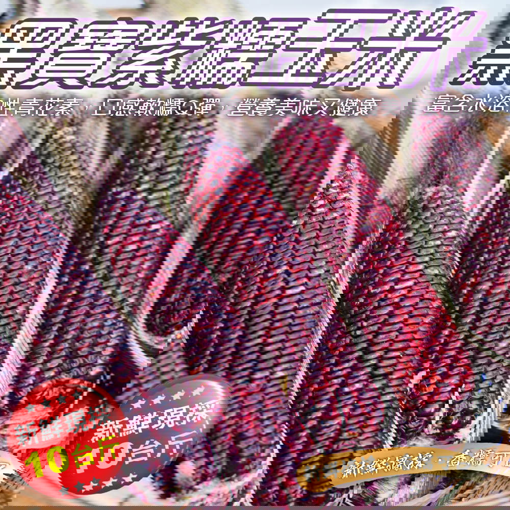 【廚鮮王-宅配】(免)10斤黑寶紫糯米玉米(10斤±10%/箱(含箱重))