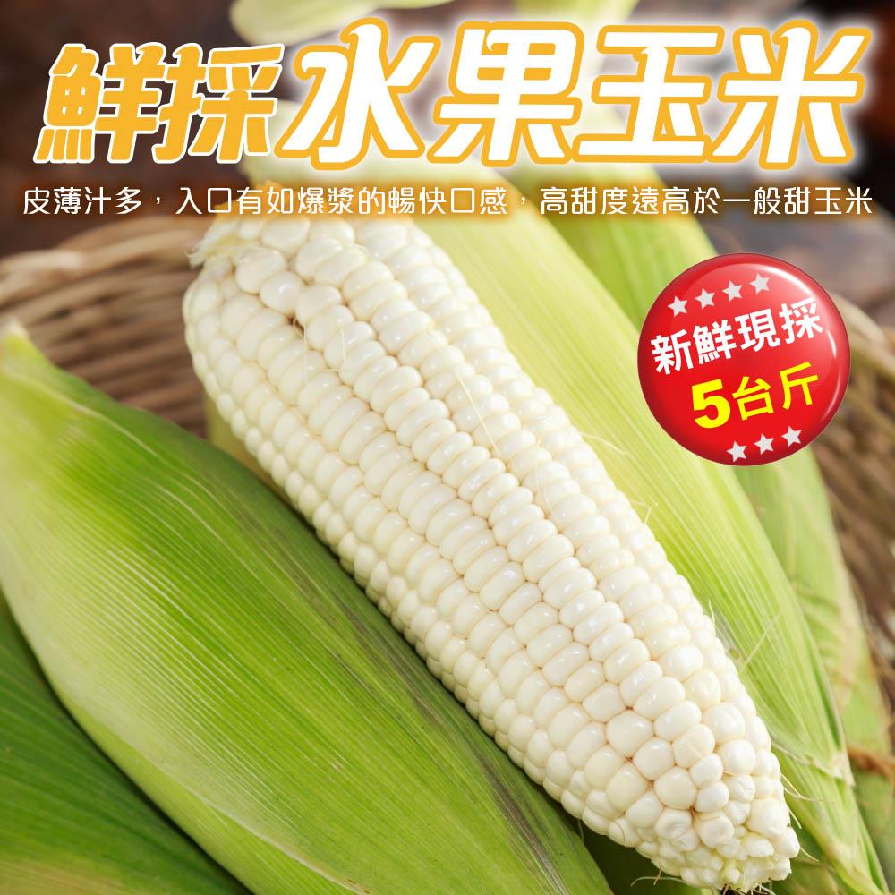 【廚鮮王-宅配】(免)5斤水果玉米(5斤±10%/箱(含箱重))