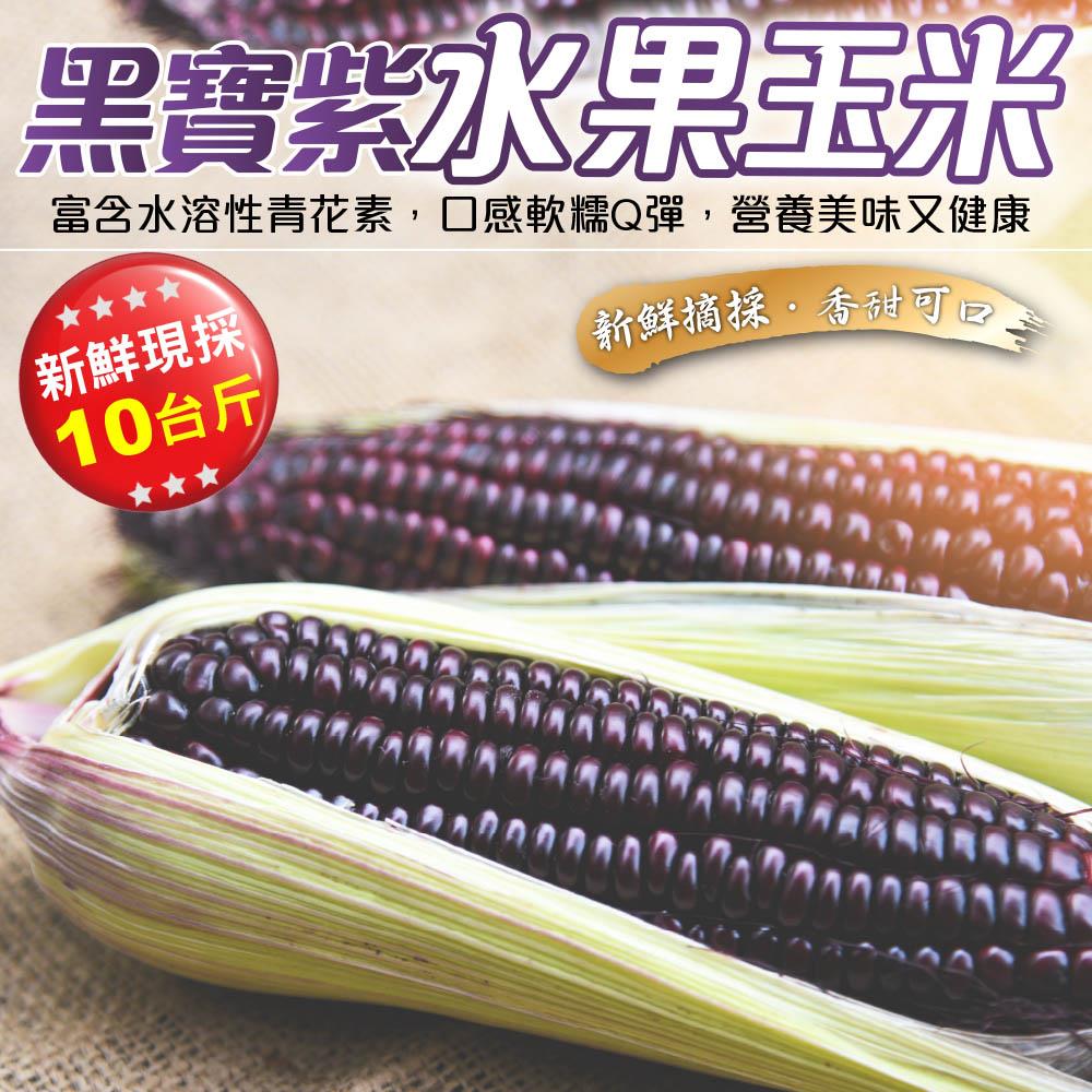 【廚鮮王-宅配】(免)10斤黑寶紫水果玉米(10斤±10%/箱(含箱重))