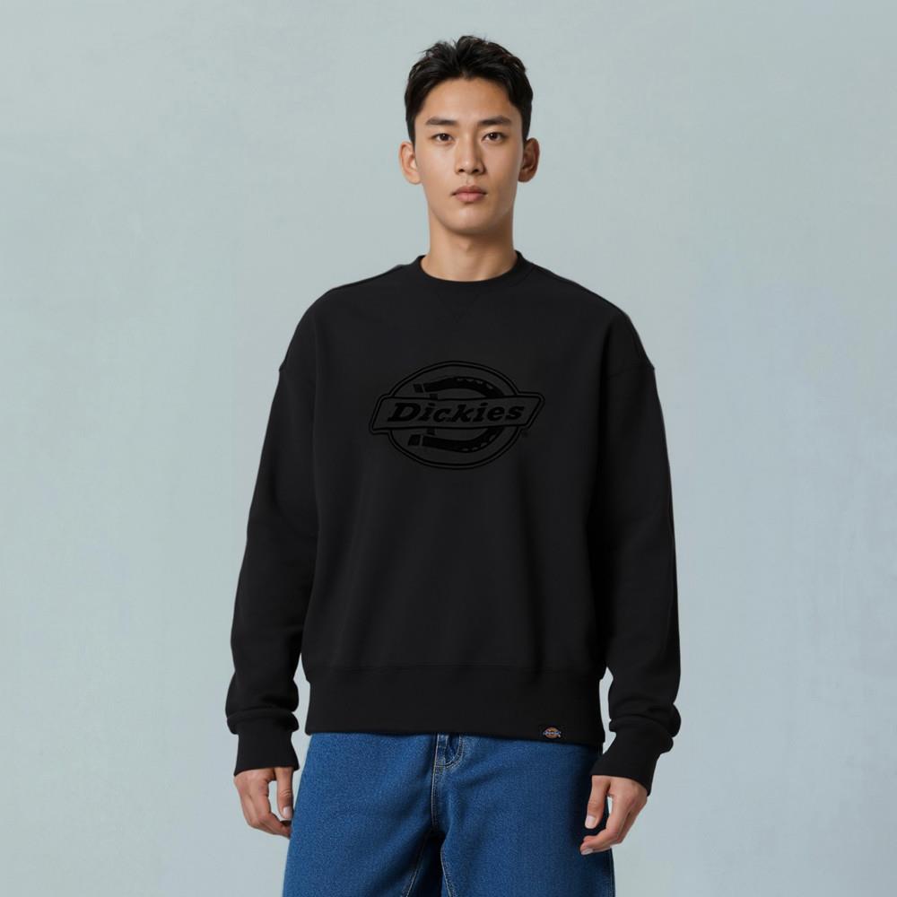 Dickies男款黑色胸前大尺寸Logo設計寬鬆大學T|DK0A87RHBLK