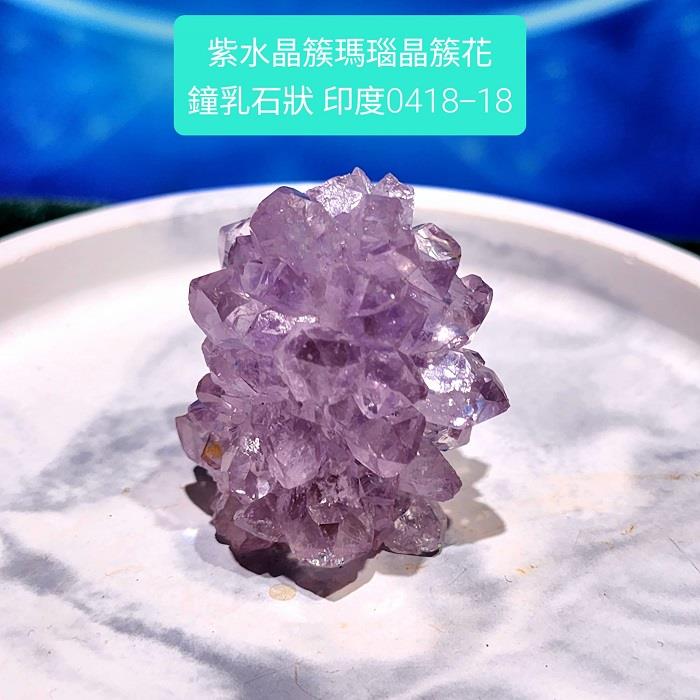 花| 熱銷推薦| 聖哲曼魔法屋 花| 熱銷推薦| 聖哲曼魔法屋