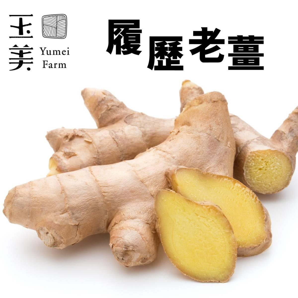 【冷藏店取—玉美】(免)產銷履歷老薑(８００ｇ／包)