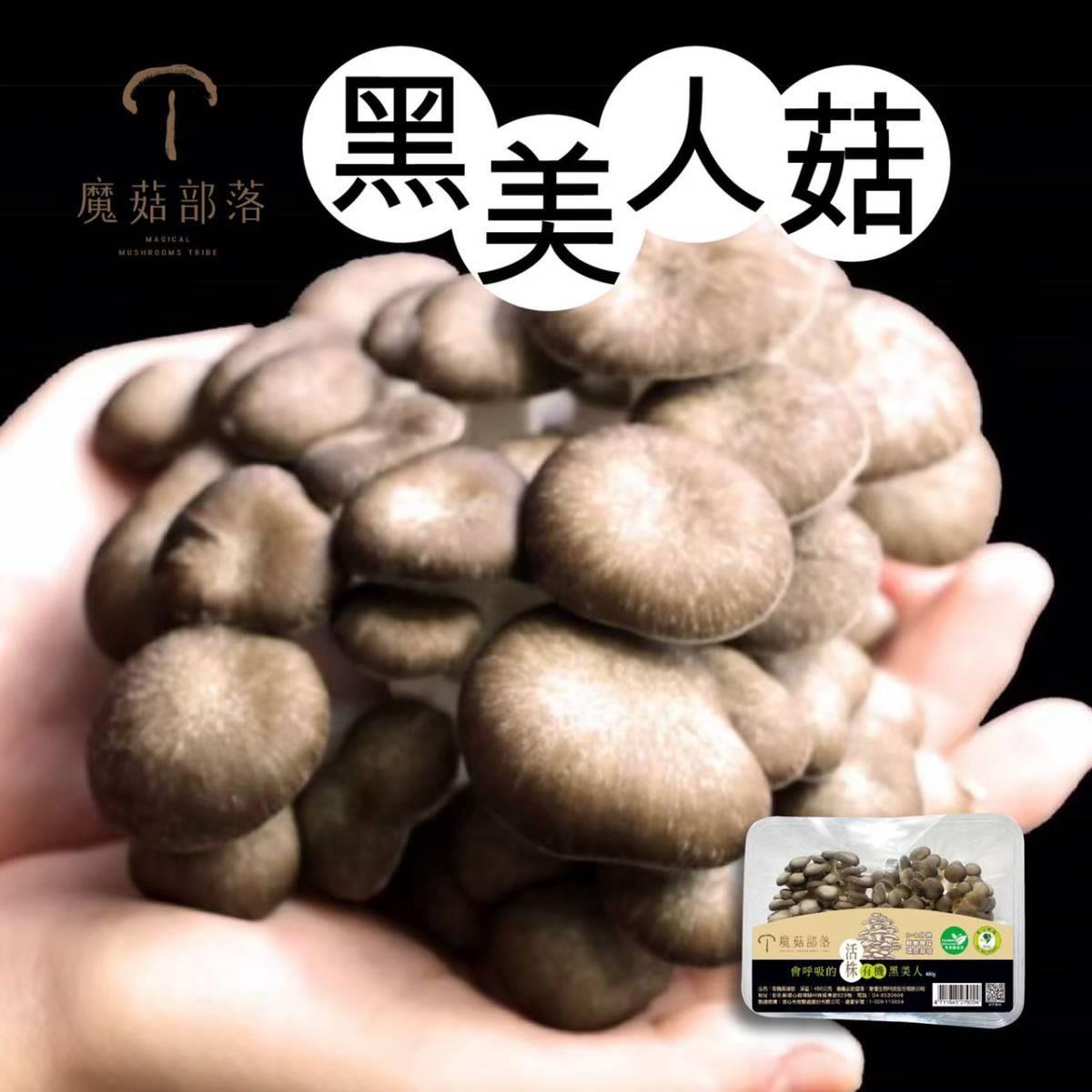 【冷藏店取－魔菇部落】(免)黑美人菇(４８０ｇ)