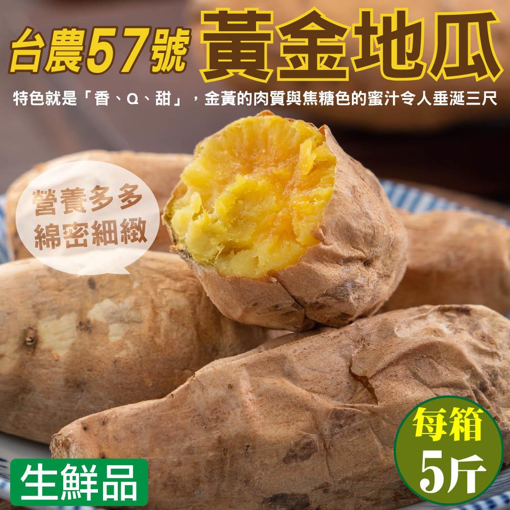 【廚鮮王-宅配】(免)5斤台農57號黃金地瓜(5斤±10%/箱(含箱重))