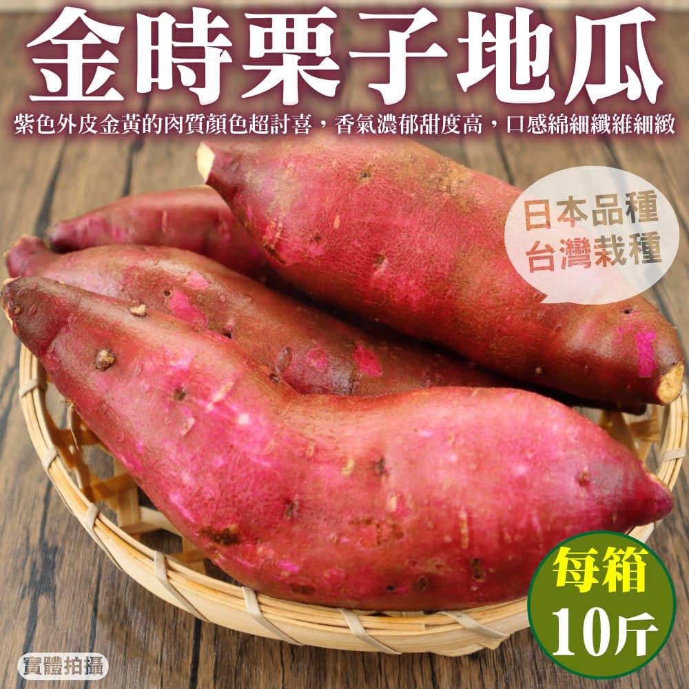 【廚鮮王-宅配】(免)10斤金時栗子地瓜(10斤±10%/箱(含箱重))