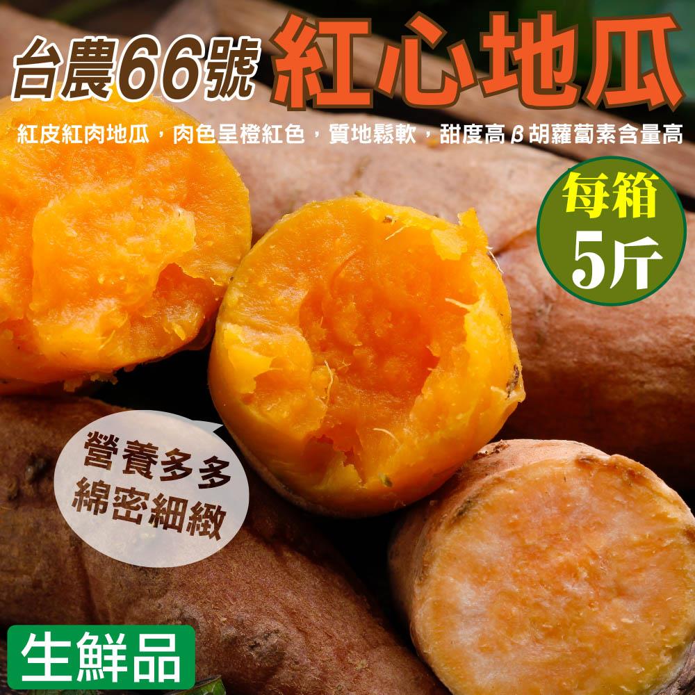 【廚鮮王-宅配】(免)5斤66號紅心地瓜(5斤±10%/箱(含箱重))