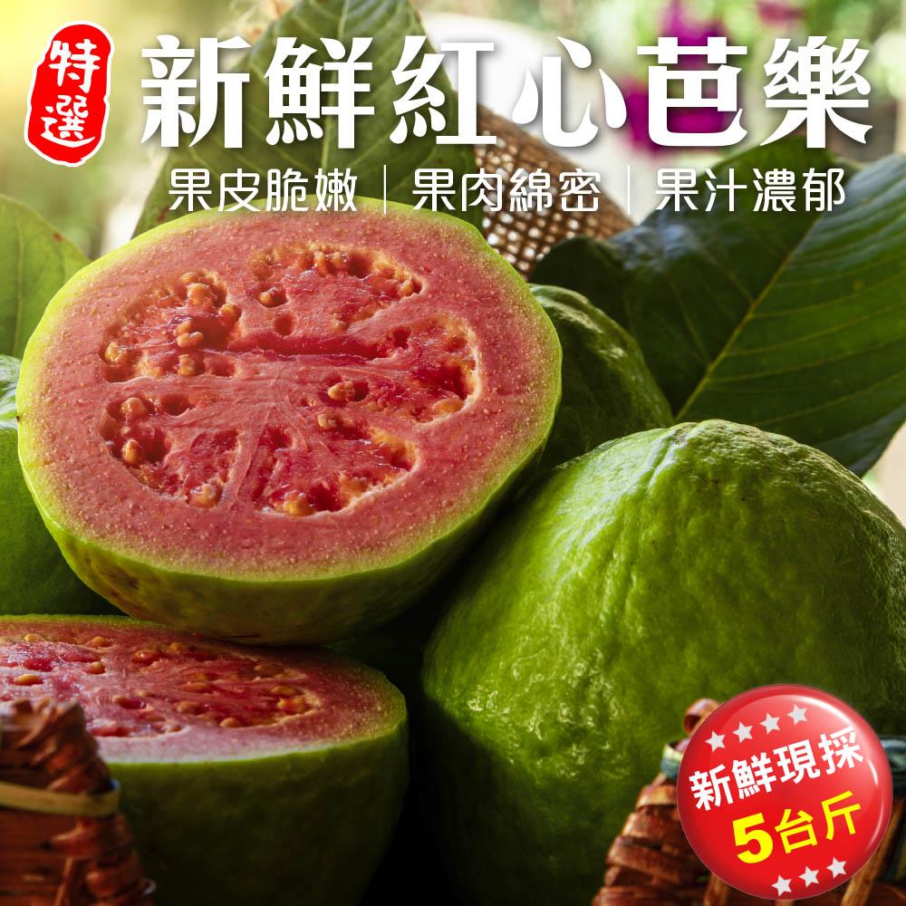 【廚鮮王-宅配】(免)5斤新鮮紅心芭樂(5斤±10%/箱(含箱重))