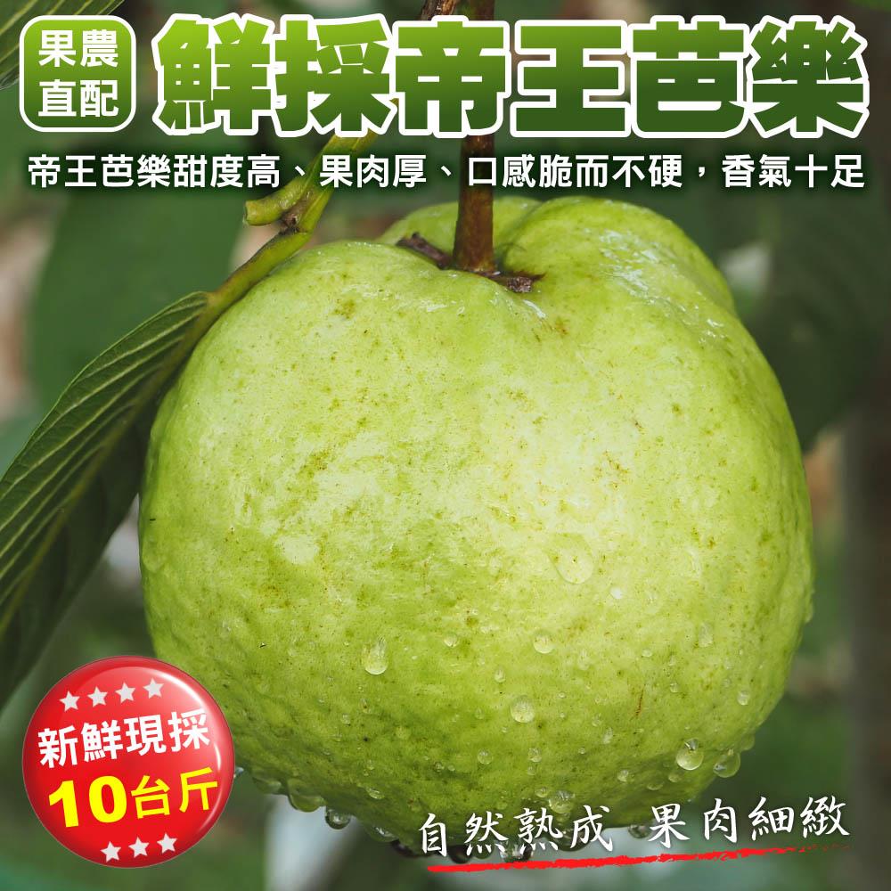 【廚鮮王-宅配】(免)10斤鮮採帝王芭樂(10斤±10%/箱(含箱重))