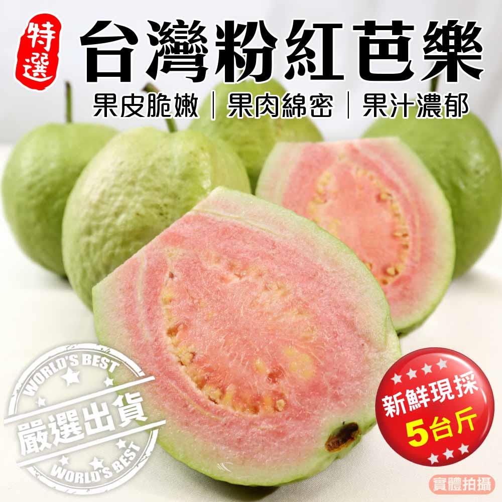 【廚鮮王-宅配】(免)5斤粉紅芭樂(5斤±11%/箱(含箱重))