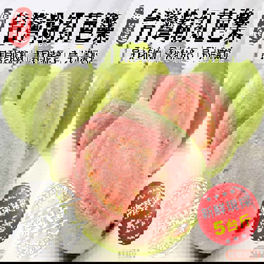 【廚鮮王-宅配】(免)5斤粉紅芭樂(5斤±11%/箱(含箱重))