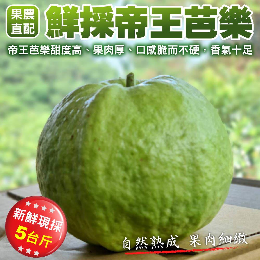 【廚鮮王-宅配】(免)5斤鮮採帝王芭樂(5斤±10%/箱(含箱重))