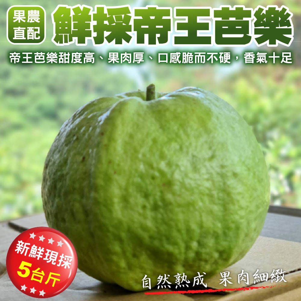 【廚鮮王-宅配】(免)5斤鮮採帝王芭樂(5斤±10%/箱(含箱重))