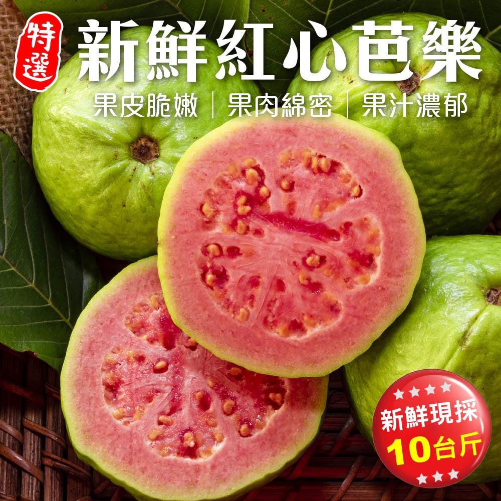 【廚鮮王-宅配】(免)10斤新鮮紅心芭樂(10斤±10%/箱(含箱重))