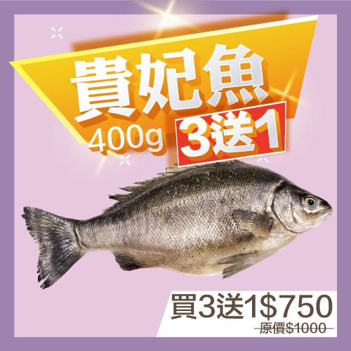 貴妃魚400g‧買3送1