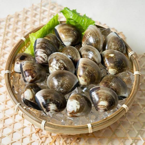 【一夫水產】冠軍大文蛤5包組(300g±5％/15±2顆/1包)-廠商直送