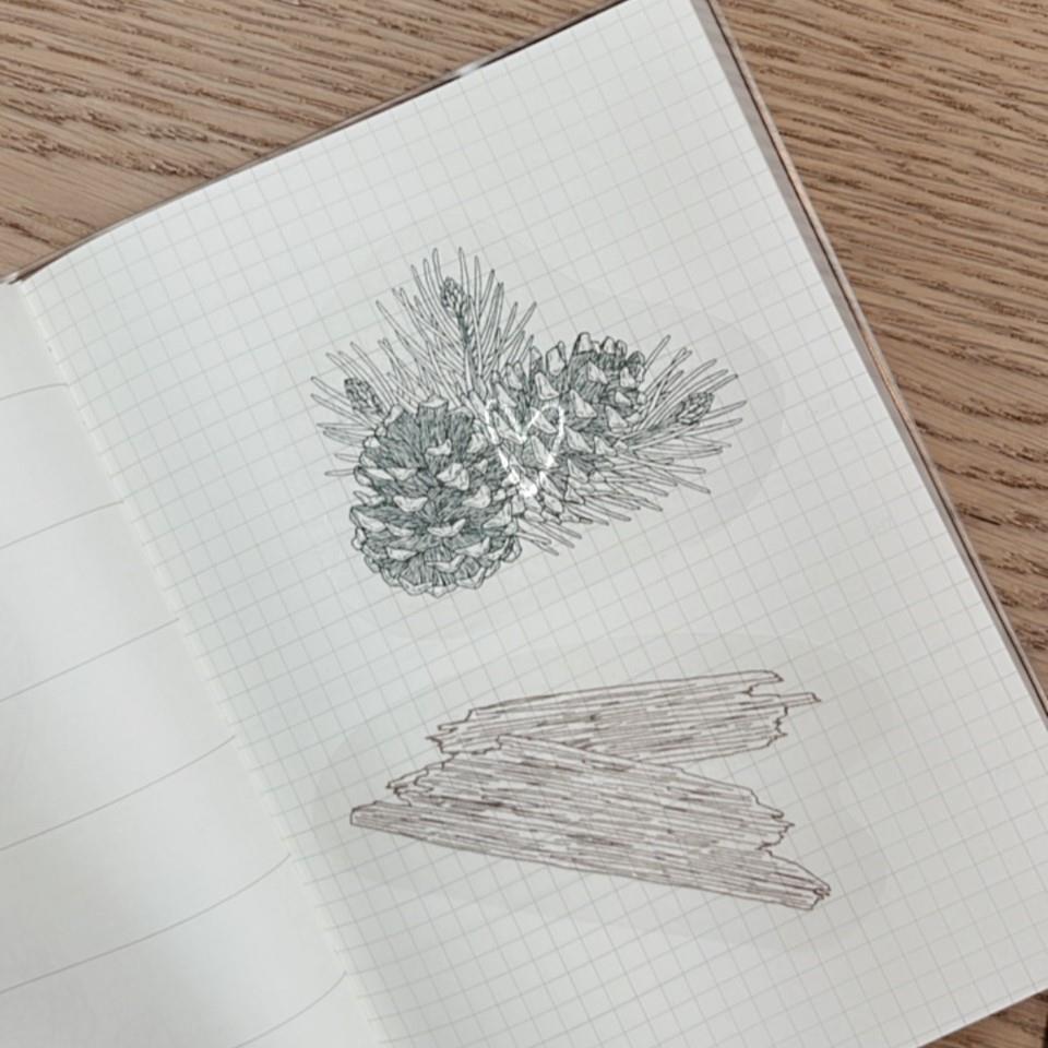 【植物貼紙】枕頭噴霧植物貼紙 四款一組 可貼安全帽 筆記本 電腦 行李箱 精油木盒
