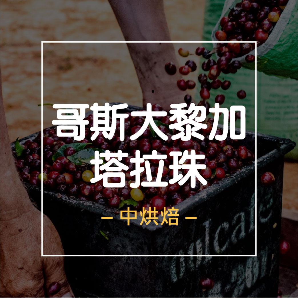 【哥斯大黎加】咖啡豆│半磅(227g)
