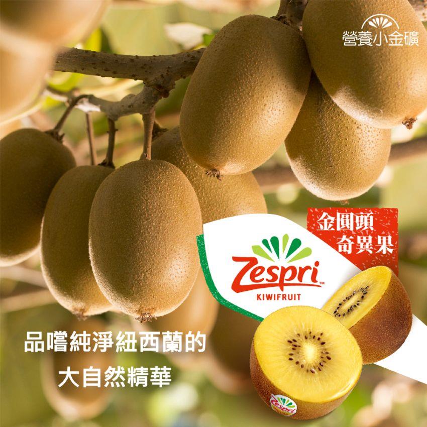 【福和-冷藏店取】紐西蘭金圓頭奇異果12入禮盒(1.8kgx1)
