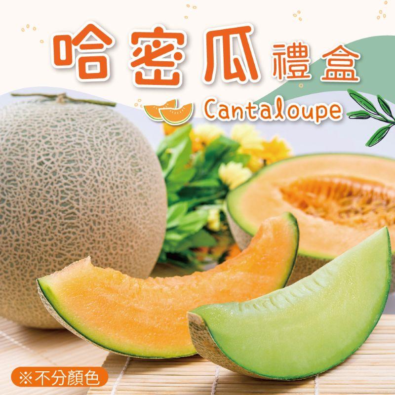 【冷藏店取-福和】(免)台灣網紋哈密瓜2入禮盒(3600gx1)