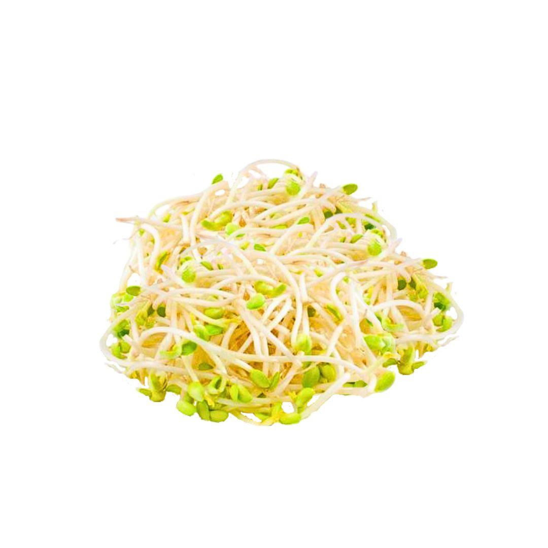 台灣有機綠豆芽160g/盒(鮮時配)
