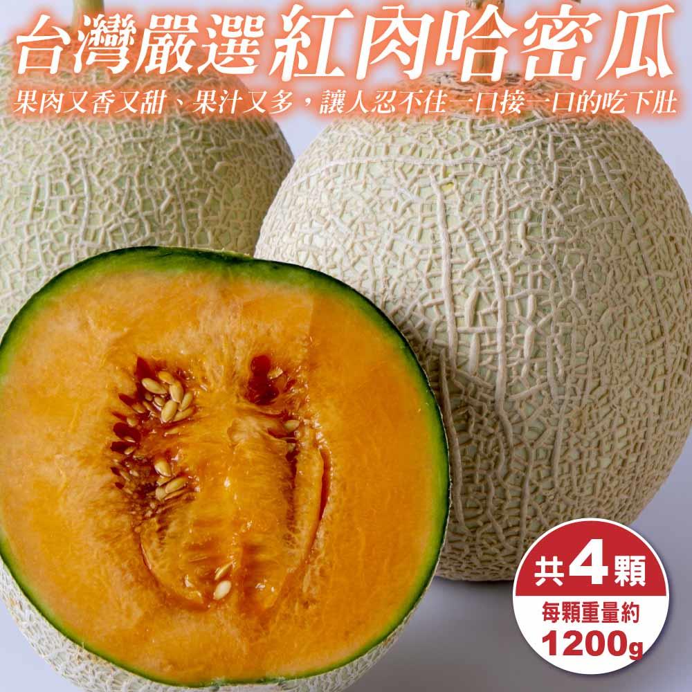 【廚鮮王-宅配】免)4顆台灣嚴選大顆紅肉哈密瓜(1200g±10%/顆(4顆/箱))
