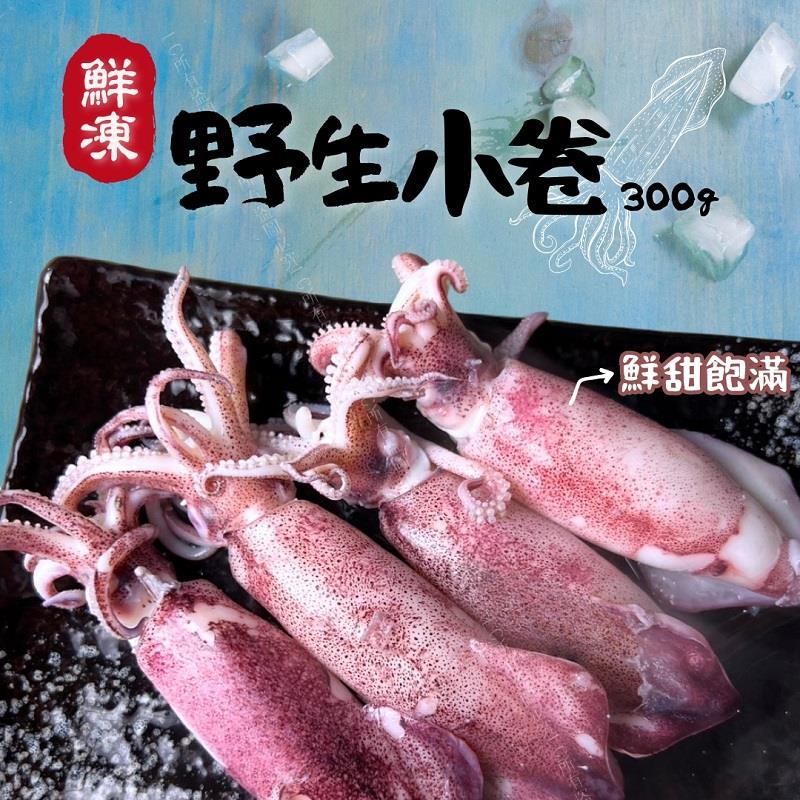 【冷凍店取-樂廚】鮮凍野生小卷(300g±10%)