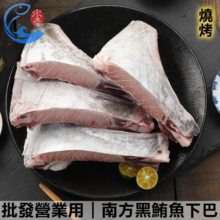 批發營業用｜南方黑鮪魚下巴T-bone(琵琶骨) 1KG 6KG 10KG 散裝±10%/組
