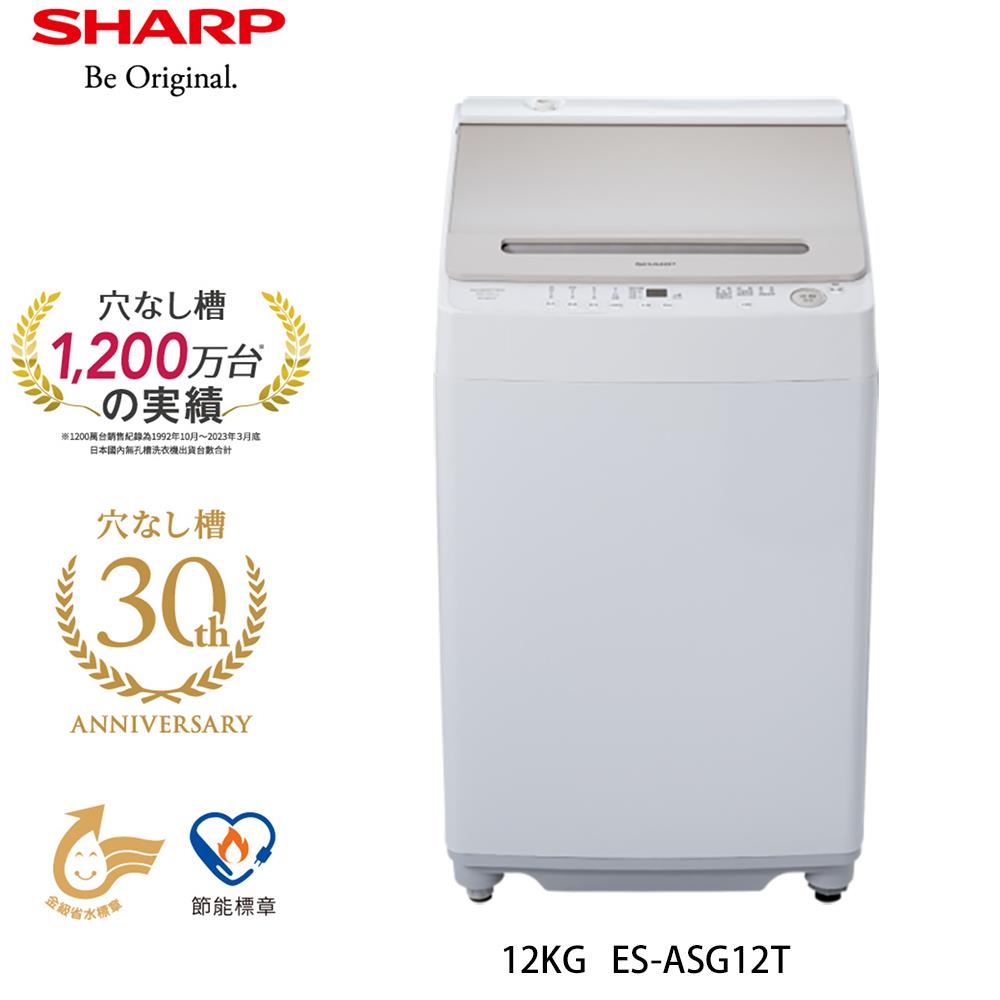 【SHARP夏普】12公斤無孔槽變頻直立式洗衣機(ES-ASG12T)