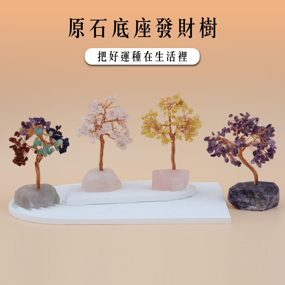 【現貨+預購】天藍小舖-原石底座發財樹-共4色-【A31310039】