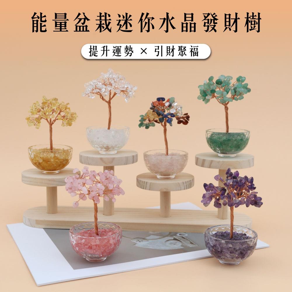 【現貨+預購】天藍小舖-能量盆栽迷你水晶發財樹-共6色【A31310041】
