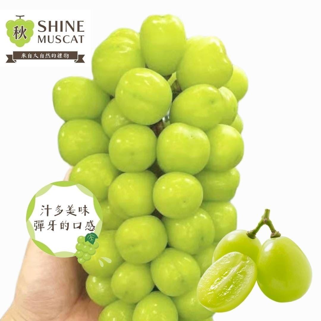 114/09/10起陸續出貨【挑果子-宅配】(免)韓國麝香葡萄(600g/盒)