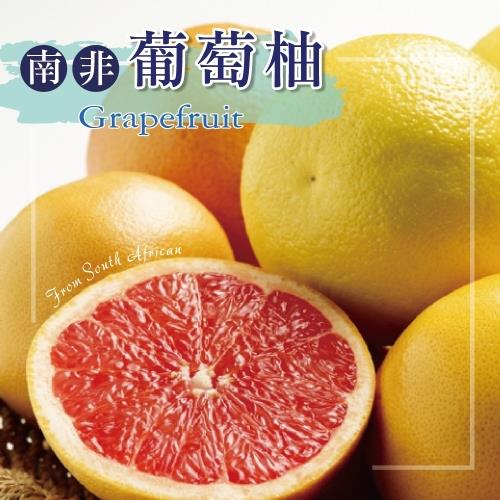 【冷藏店取-福和】(免)南非葡萄柚(1200gx1)