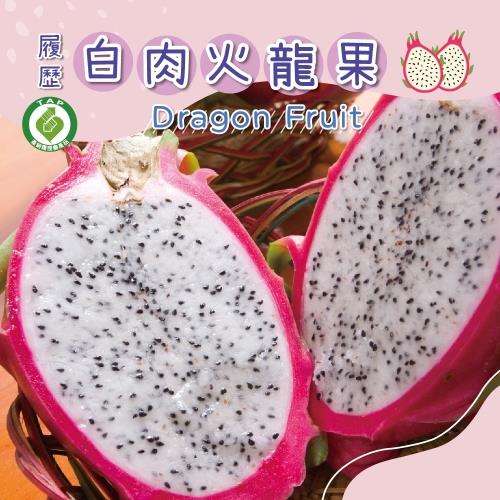 【冷藏店取-福和】(免)履歷白肉火龍果4入裝(1600g/4入)