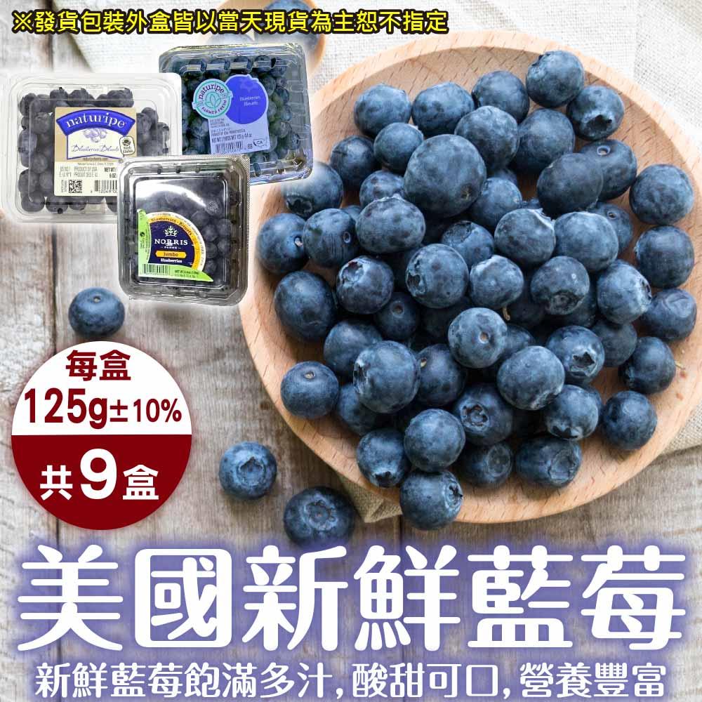 【廚鮮王-宅配】(免)9盒美國新鮮藍莓(125g±10%/盒*9盒)