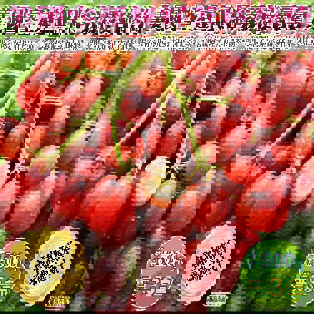 【廚鮮王-宅配】(免)3盒美國無籽荔枝葡萄(500g±10%/盒*3盒)